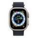 Apple Watch Ultra 49mm Titanium Case with Midnight Ocean Band (MQFK3) фото