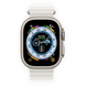 Apple Watch Ultra 49mm Titanium Case with White Ocean Band  (MNHF3) фото