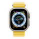 Apple Watch Ultra 49mm Titanium Case with Yellow Ocean Band  (MNHG3) фото