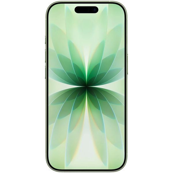 iPhone 17 512GB eSIM Sage (MG4Q4) MG4Q4 фото