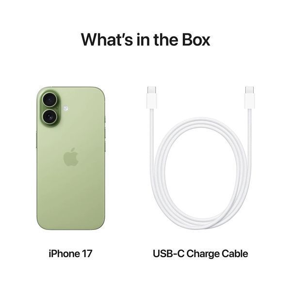 iPhone 17 512GB eSIM Sage (MG4Q4) MG4Q4 фото