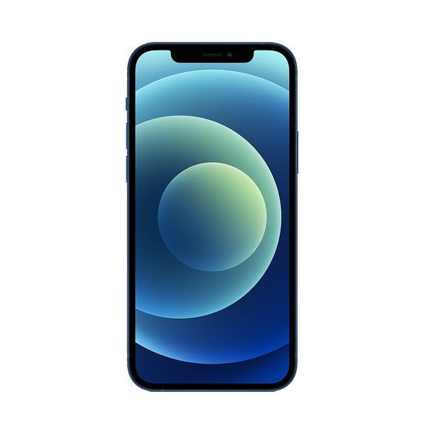 Apple iPhone 12 256GB Blue MGJK3 фото