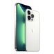 iPhone 13 Pro Max 256GB Silver MLLC3 фото 3