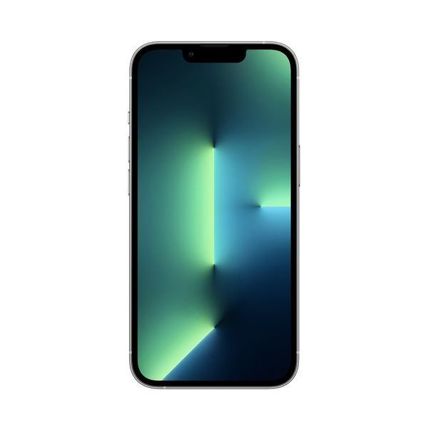 iPhone 13 Pro 256GB Silver MLVF3 фото