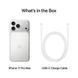 iPhone 17 Pro Max 256GB eSIM Silver (MFXG4) MFXG4 фото 7
